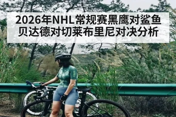 2026年NHL常规赛黑鹰对鲨鱼贝达德对切莱布里尼对决分析